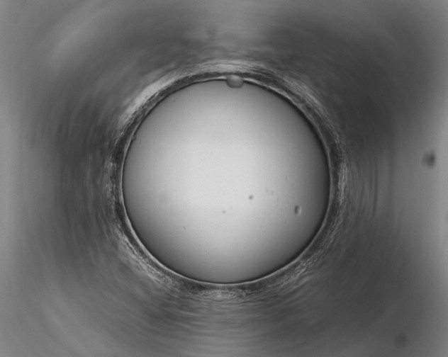 X0000116371404200912161428