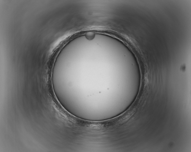 X0000116371406200912161428