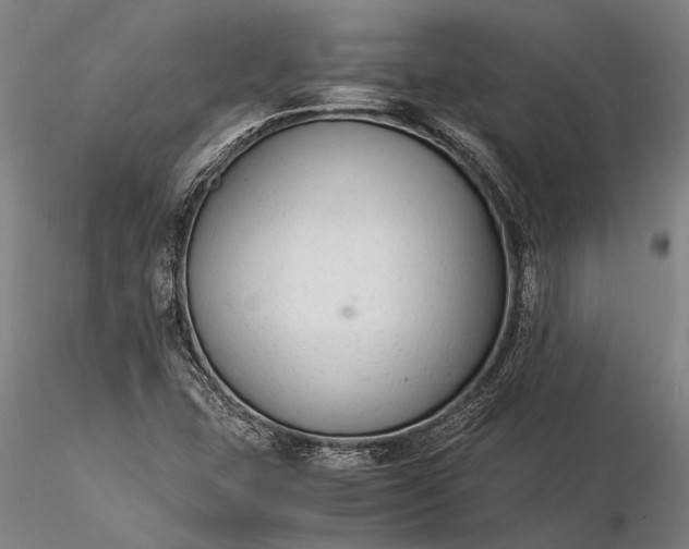 X0000116371407200912161428