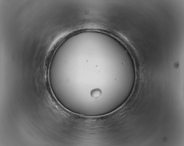 X0000116371408200912161428