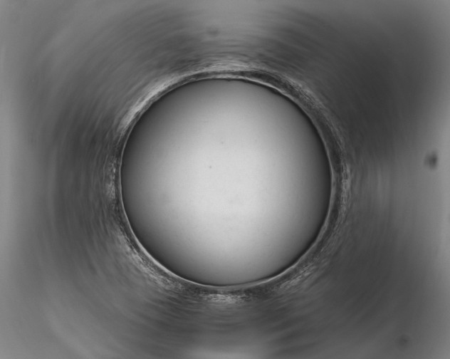 X0000116371409200912161428