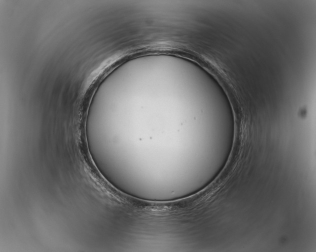 X0000116371410200912161428