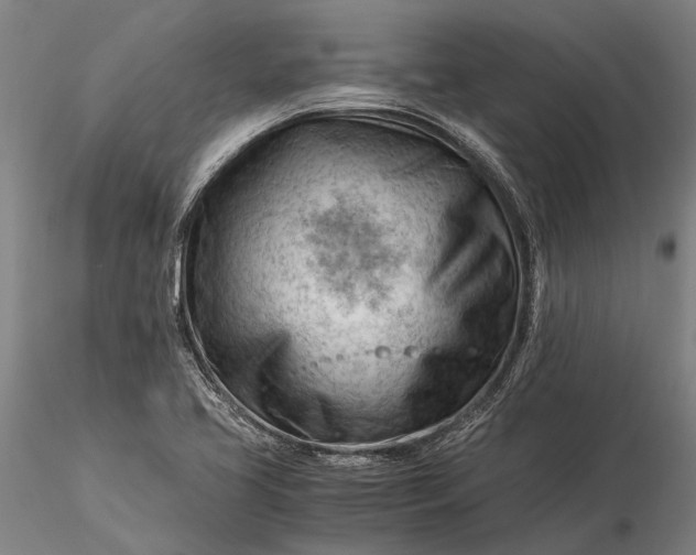 X0000116371413200912161428