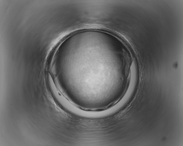 X0000116371414200912161428