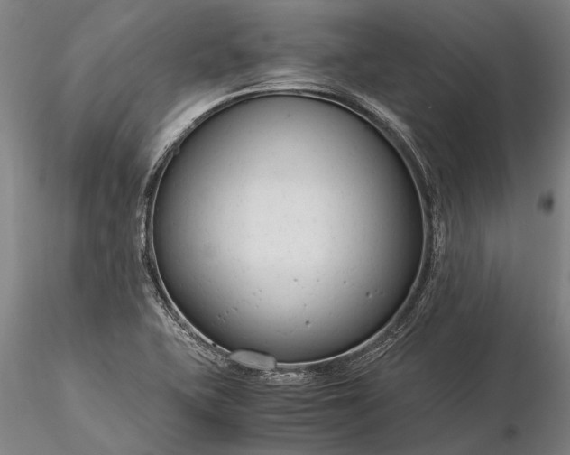 X0000116371415200912161428