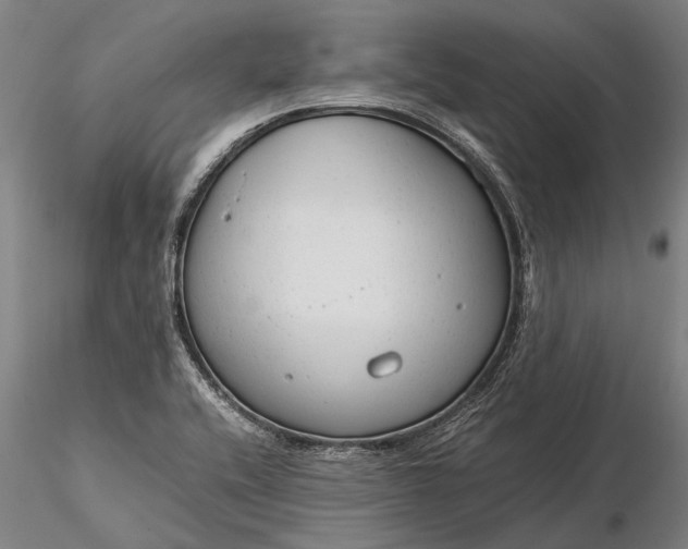 X0000116371416200912161428