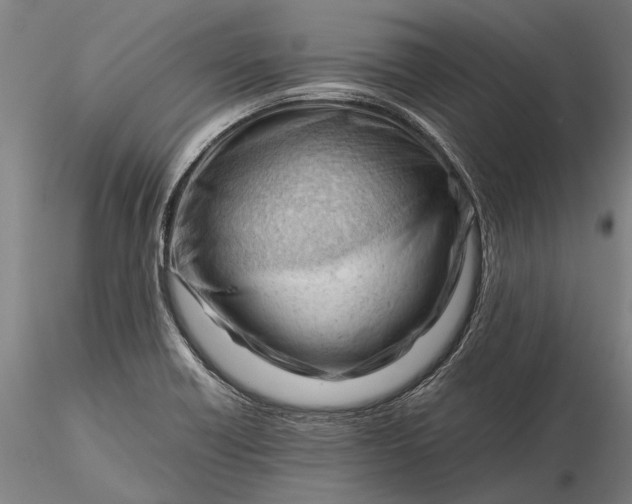 X0000116371418200912161428