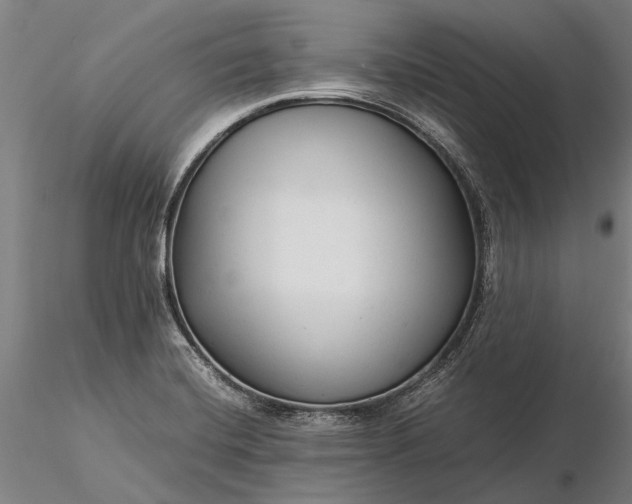 X0000116371420200912161428