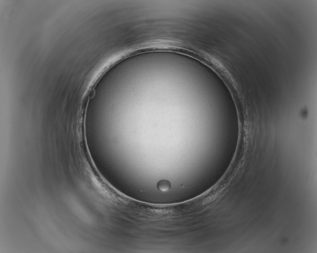 X0000116371421200912161428