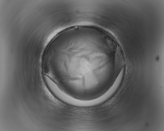 X0000116371422200912161428