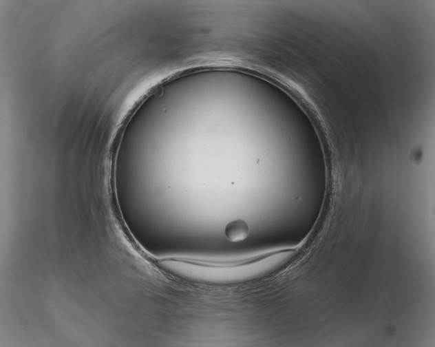 X0000116371424200912161428