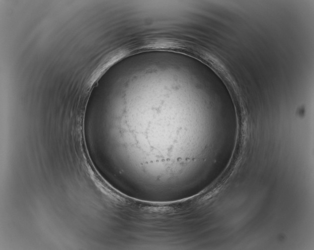 X0000116371425200912161428