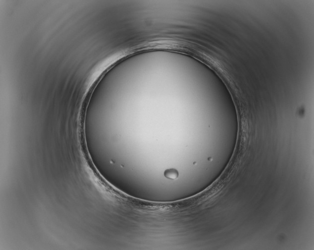 X0000116371426200912161428