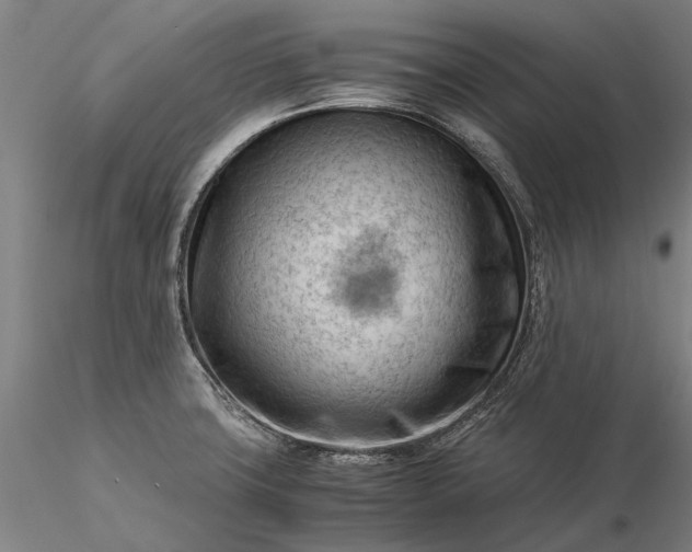 X0000116371427200912161428