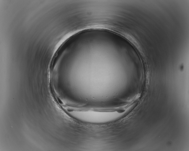 X0000116371428200912161428