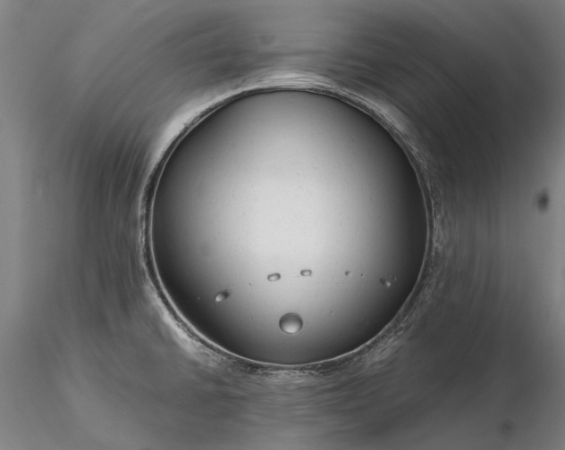 X0000116371430200912161428