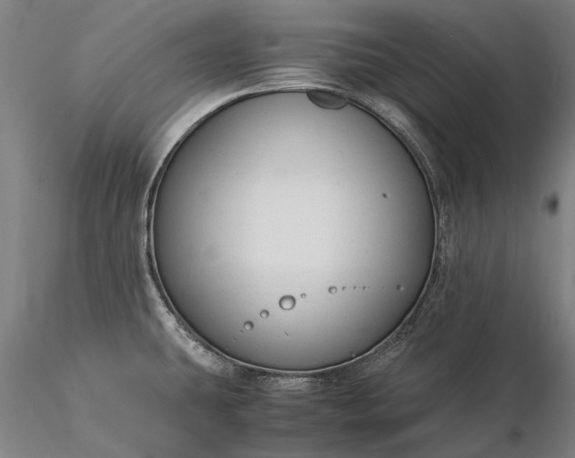 X0000116371431200912161428