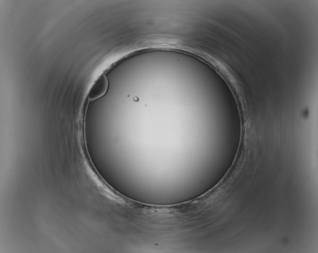 X0000116371432200912161428