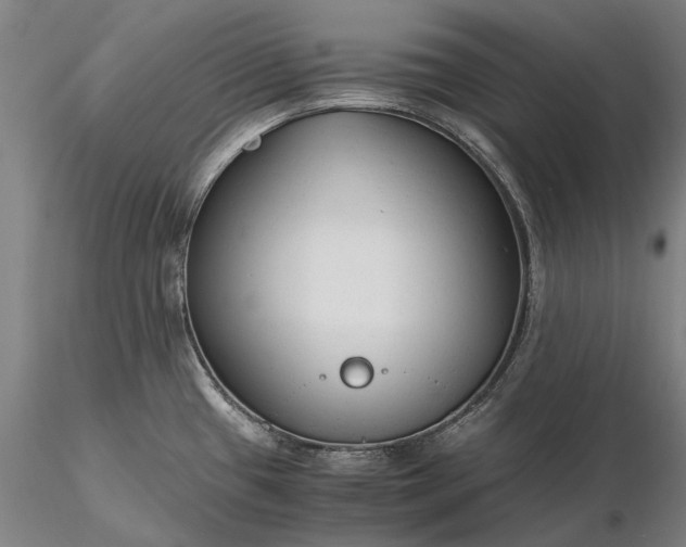 X0000116371433200912161428