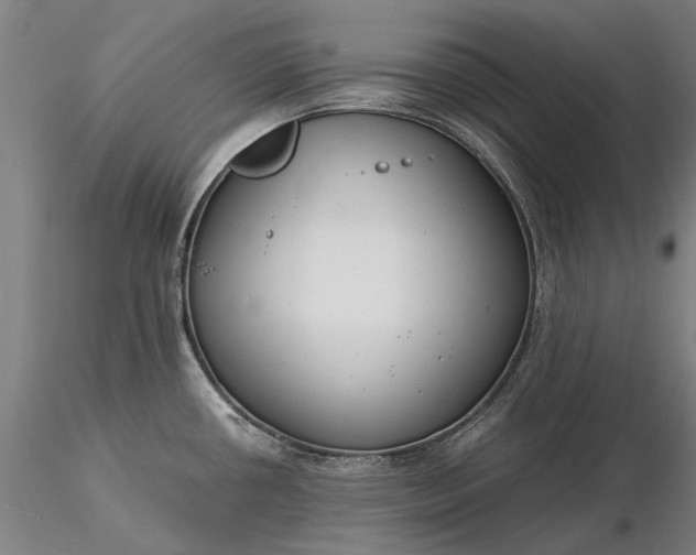 X0000116371434200912161428