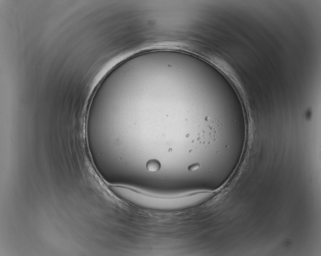 X0000116371436200912161428