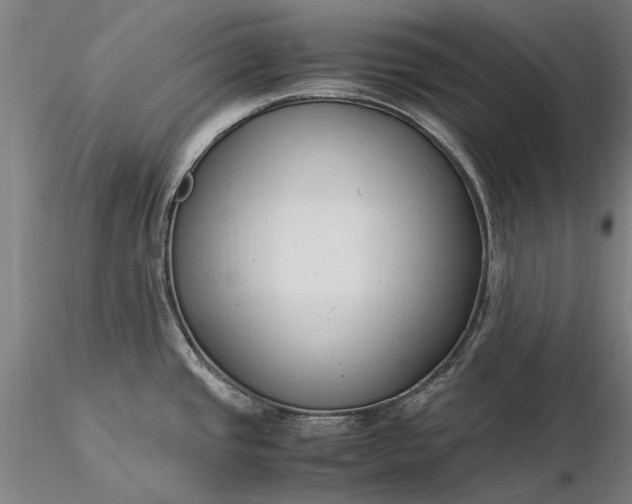 X0000116371437200912161428