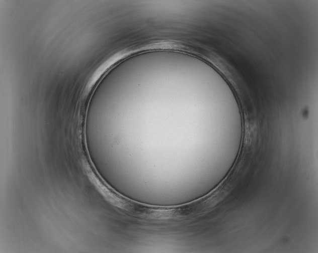 X0000116371438200912161428