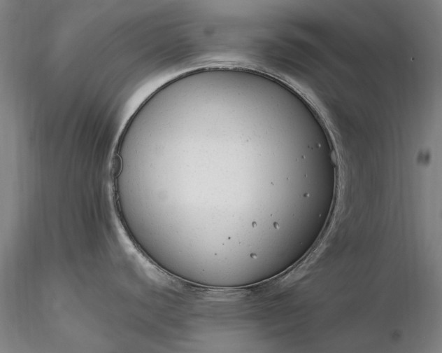 X0000116371440200912161428