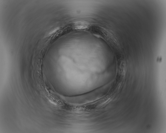 X0000116371441200912161427