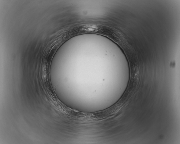 X0000116371442200912161427