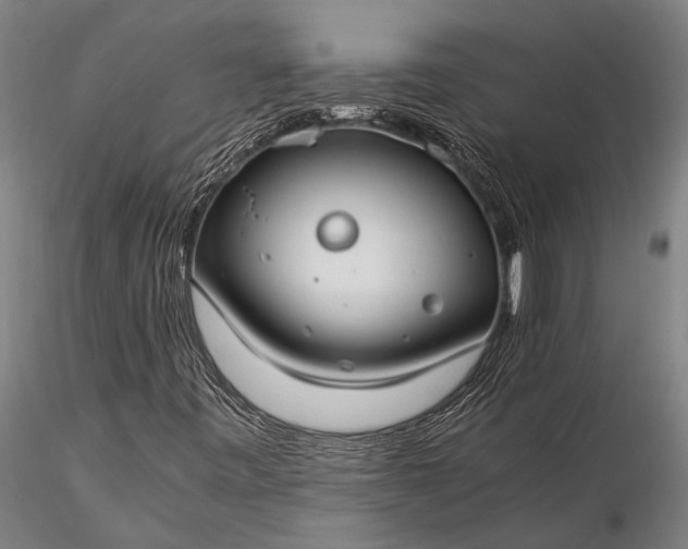 X0000116371443200912161427