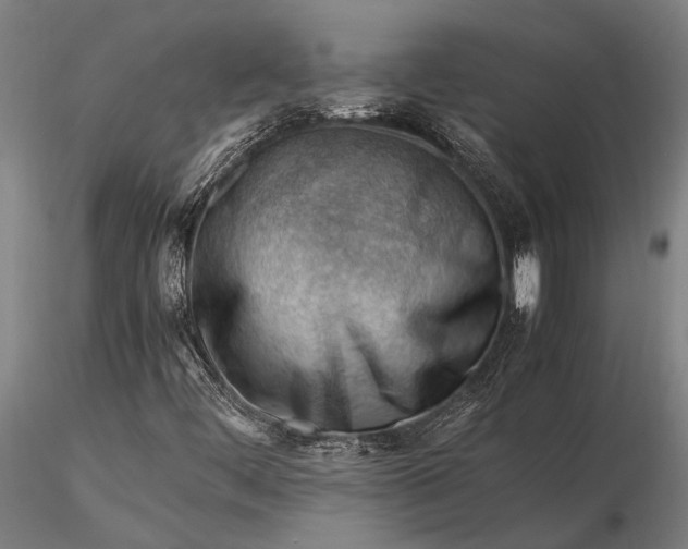 X0000116371444200912161427