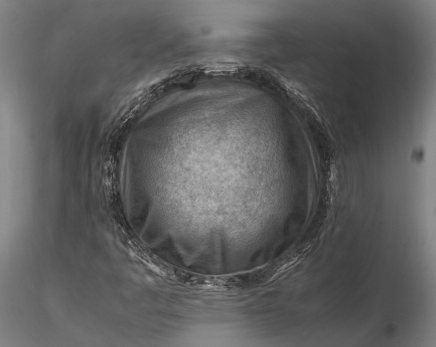 X0000116371445200912161427