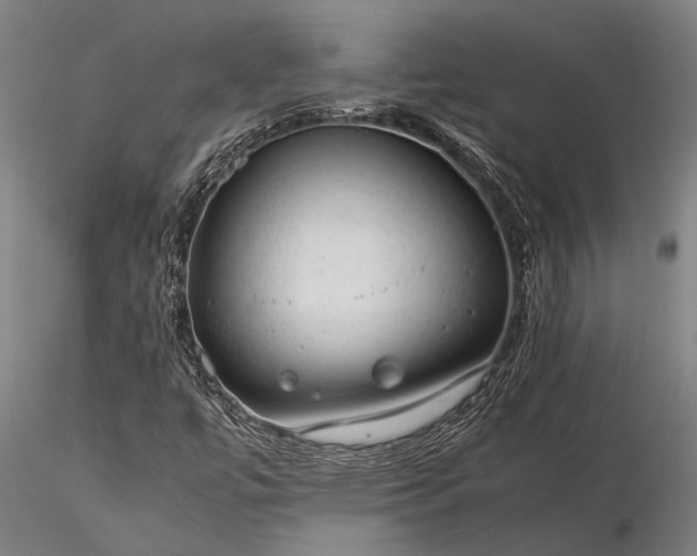 X0000116371447200912161427