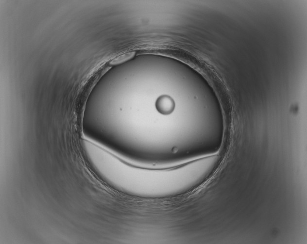 X0000116371449200912161427