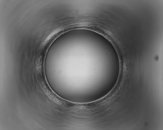 X0000116371450200912161427