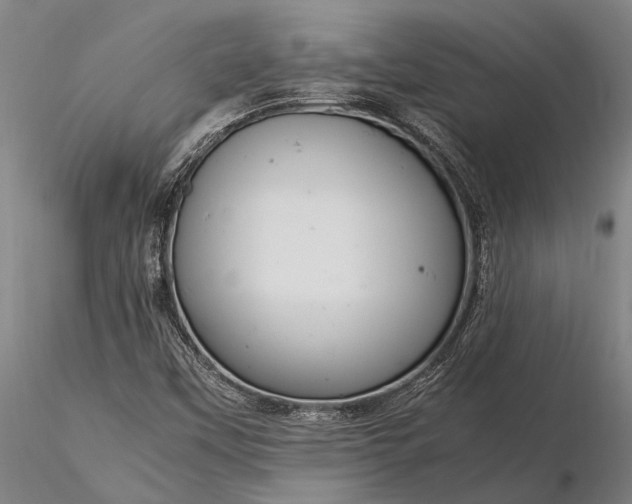 X0000116371451200912161427