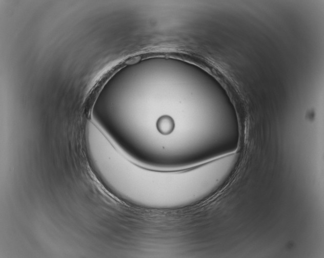 X0000116371452200912161427