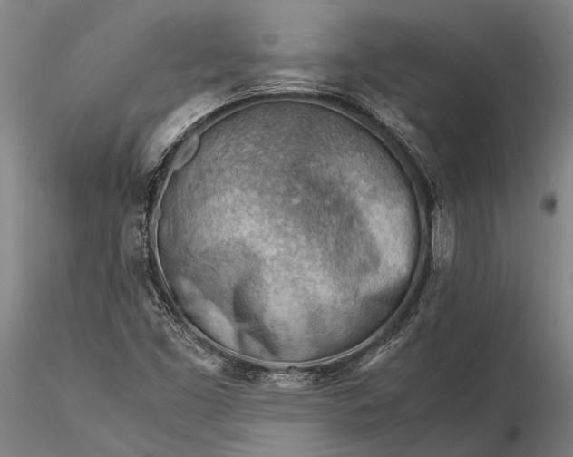 X0000116371453200912161427