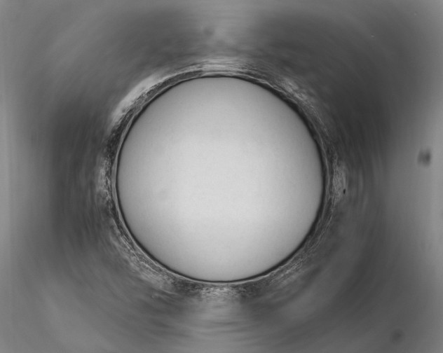 X0000116371454200912161427