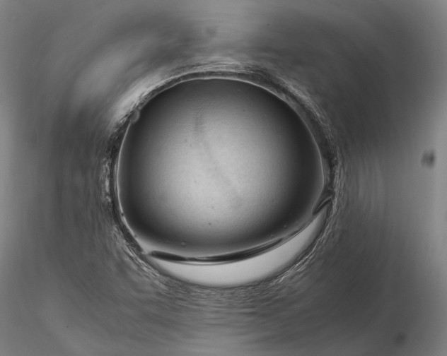 X0000116371455200912161427