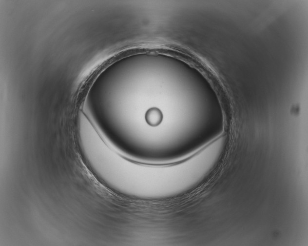 X0000116371456200912161427