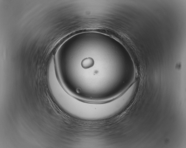 X0000116371457200912161427