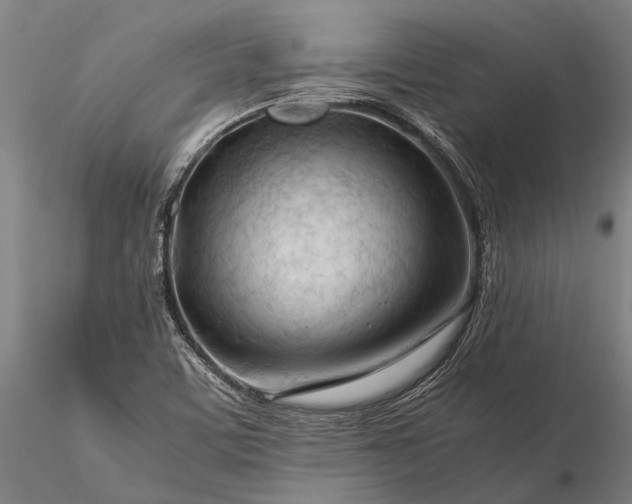 X0000116371459200912161427