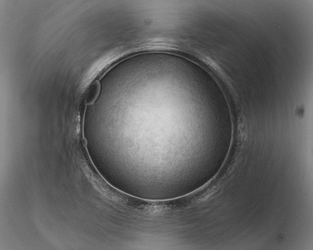 X0000116371461200912161427