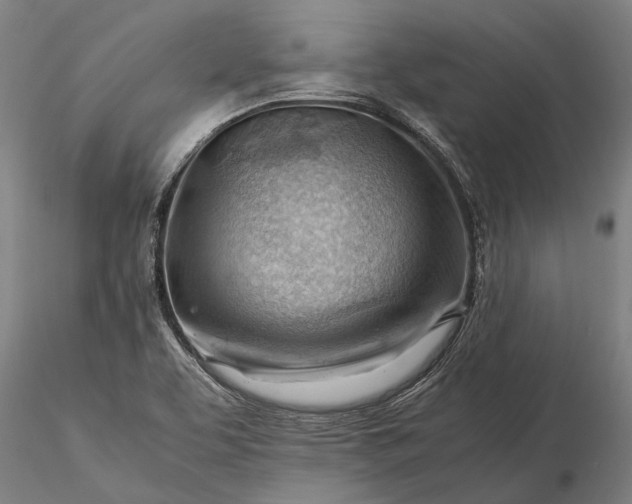 X0000116371463200912161427