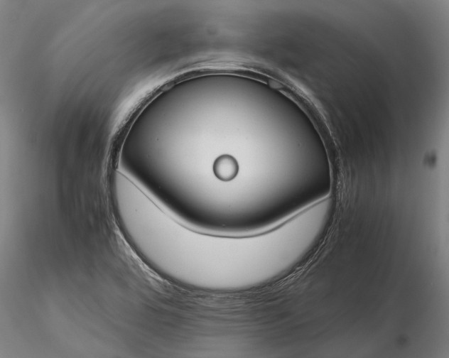 X0000116371464200912161427