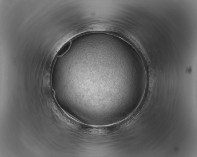 X0000116371465200912161427