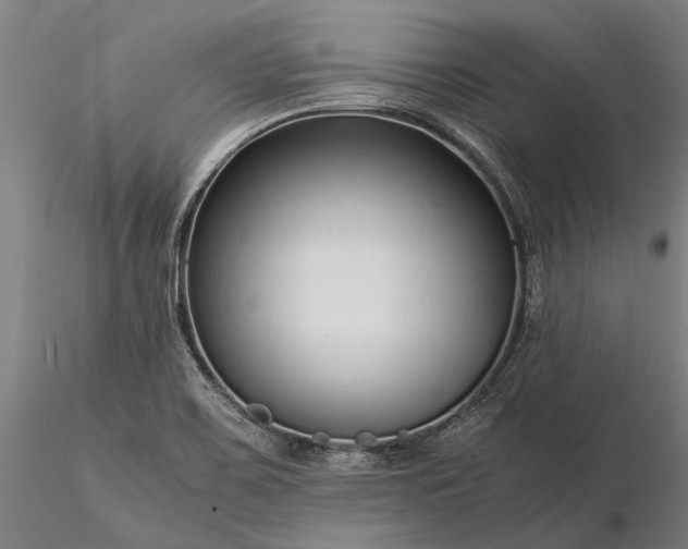 X0000116371467200912161427