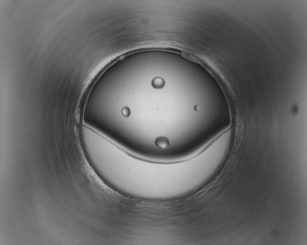 X0000116371468200912161427